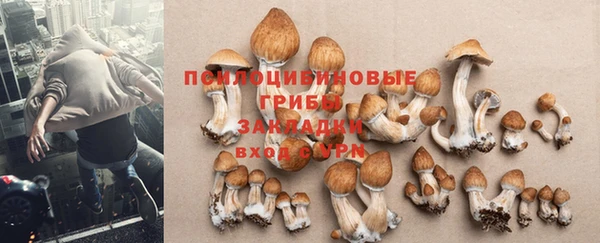 таблы Абинск