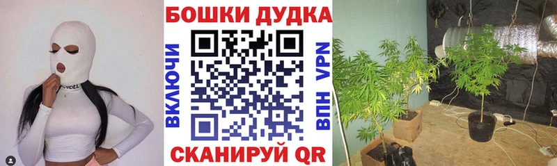 Канабис сатива  Темников 